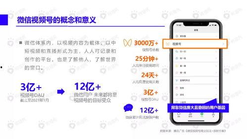 小红花爆料新闻视频下载,新闻视频下载背后的秘密  第2张