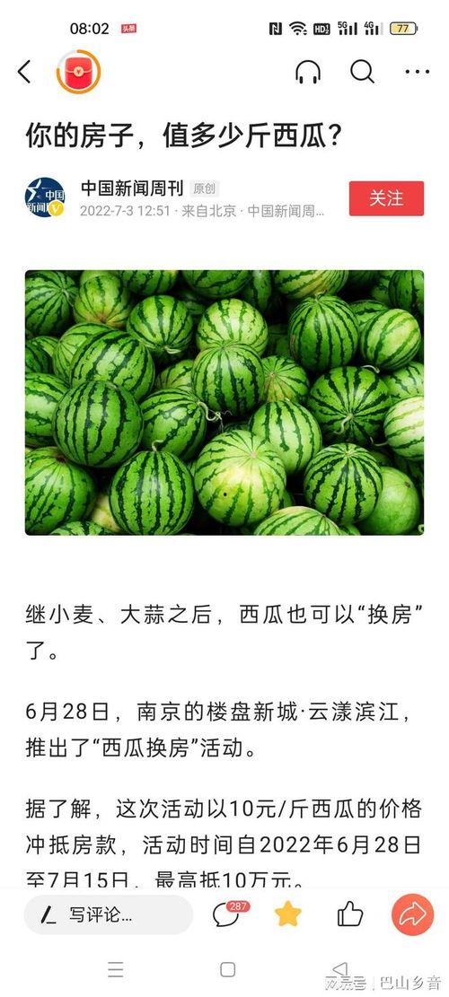 在哪里可以免费吃瓜,畅享夏日清凉新体验  第3张