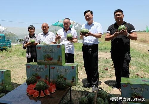 娱乐吃瓜小八哥是谁,网络红人的崛起之路 第2张 娱乐吃瓜小八哥是谁,网络红人的崛起之路 第2张