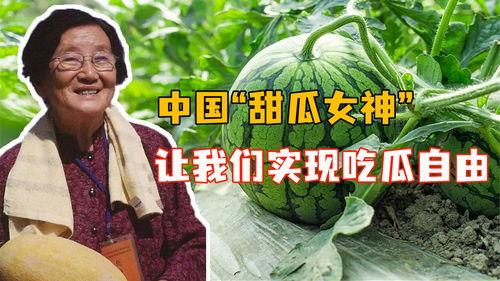 小说吃瓜女神全文阅读免费,娱乐圈的甜蜜瓜田 第3张 小说吃瓜女神全文阅读免费,娱乐圈的甜蜜瓜田 第3张