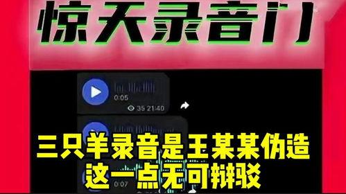 三只羊最新录音爆料,独家爆料背后的故事与真相  第3张