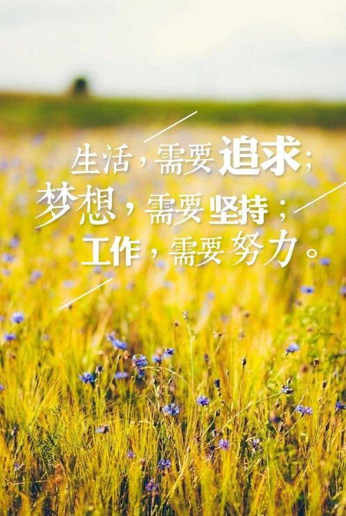早安最新爆料图片大全集,最新图片大全集精彩瞬间回顾  第1张