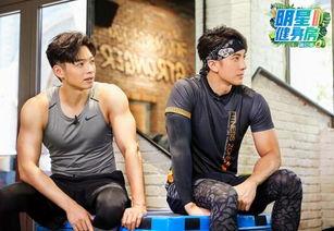 明星健身爆料视频大全集,健身达人明星独家健身秘籍大揭秘  第3张