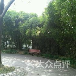 临沂公园爆料视频,揭秘公园里的惊人秘密  第3张