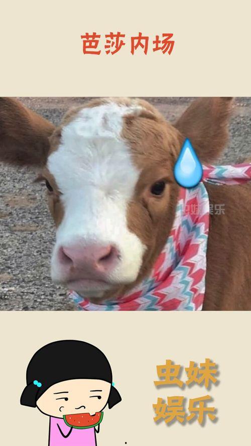 娱乐吃瓜酱果然,揭秘娱乐圈那些不为人知的幕后故事 第1张 娱乐吃瓜酱果然,揭秘娱乐圈那些不为人知的幕后故事 第1张